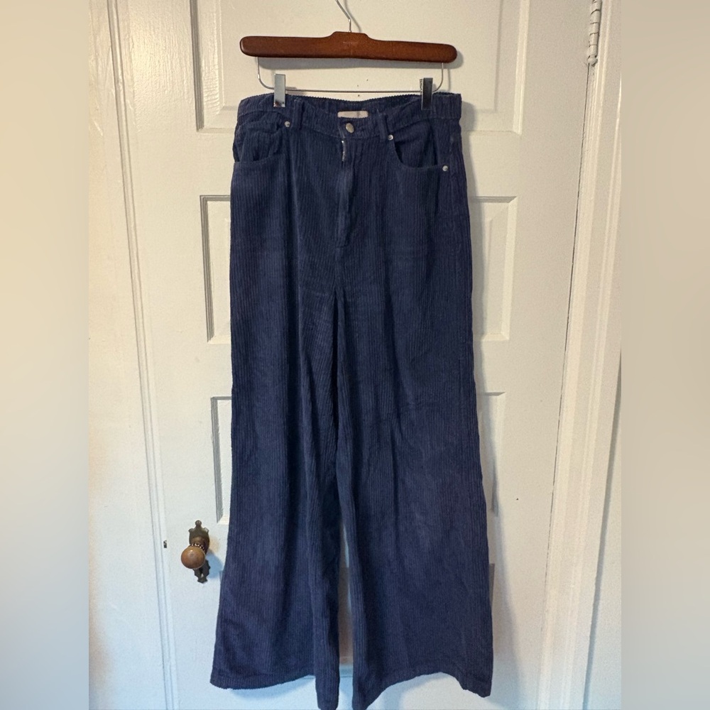 BDG urban outfitters Wide-Leg Blue Corduroy Pants